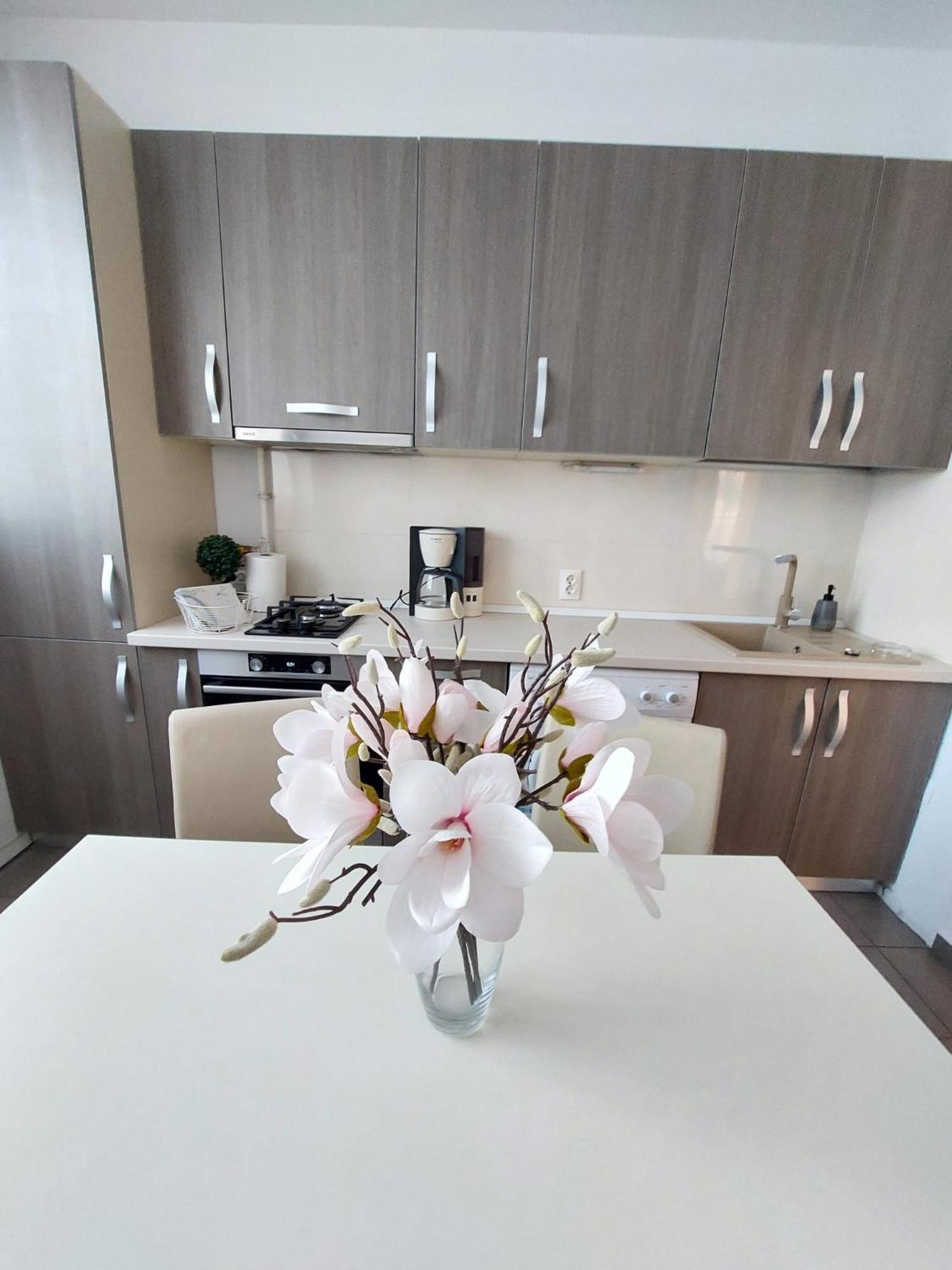 Sweet Residence Apartment Arad Exterior foto